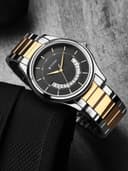 Titan 1713BM02 Karishma Analog Watch for Men 1