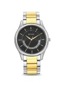 Titan 1713BM02 Karishma Analog Watch for Men 2