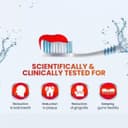 Dabur Red Gel Ayurvedic Toothpaste - 300g (150g x 2) | Reduction in Bad Breath, Plaque & Gingivitis | Freshness with Protection | For Healthy Gums & Effective Dental Care 4