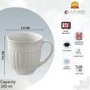 Clay Craft Fine Ceramic Tea Cups Set of 6| 200 Ml Elegant Textured Cups with Comfortable Handle | Ideal for Tea| Coffee| Home Use & Gifting 3