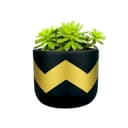 TrustBasket Terra Craze Small Clay Flower Pots Set of 3 | Black & Gold Terracotta Clay Flower Pot | Mud Plant Container | Handmade Pots | Gamla for Plants | Clay Pots for Plants | Indoor Outdoor Use 2
