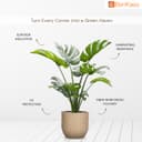 BonKaso 12 inch Beige Pot – Tall, Durable & Lightweight Polymer Jaguar Round Planter for Indoor & Outdoor Use, Marble Finish : Home, Office, Garden & Balcony (Gamla/Gamale) 2
