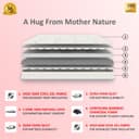 Coirfit BIOLIFE 7-Zone Latex Talalay Tech. 6 Inch King Size Latex Foam 78X70 Inches | Bed Mattress | 15 Year Warranty | Medium Firm, Back Support & Comfort | Breathable King Bed Cool Gel Mattress 3