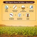 Rav Organic Sabut Masoor Dal 1 kg | Whole Lentils | Protein Rich | Unpolished | Gluten Free | Chemical Free Certified Organic Dal 5