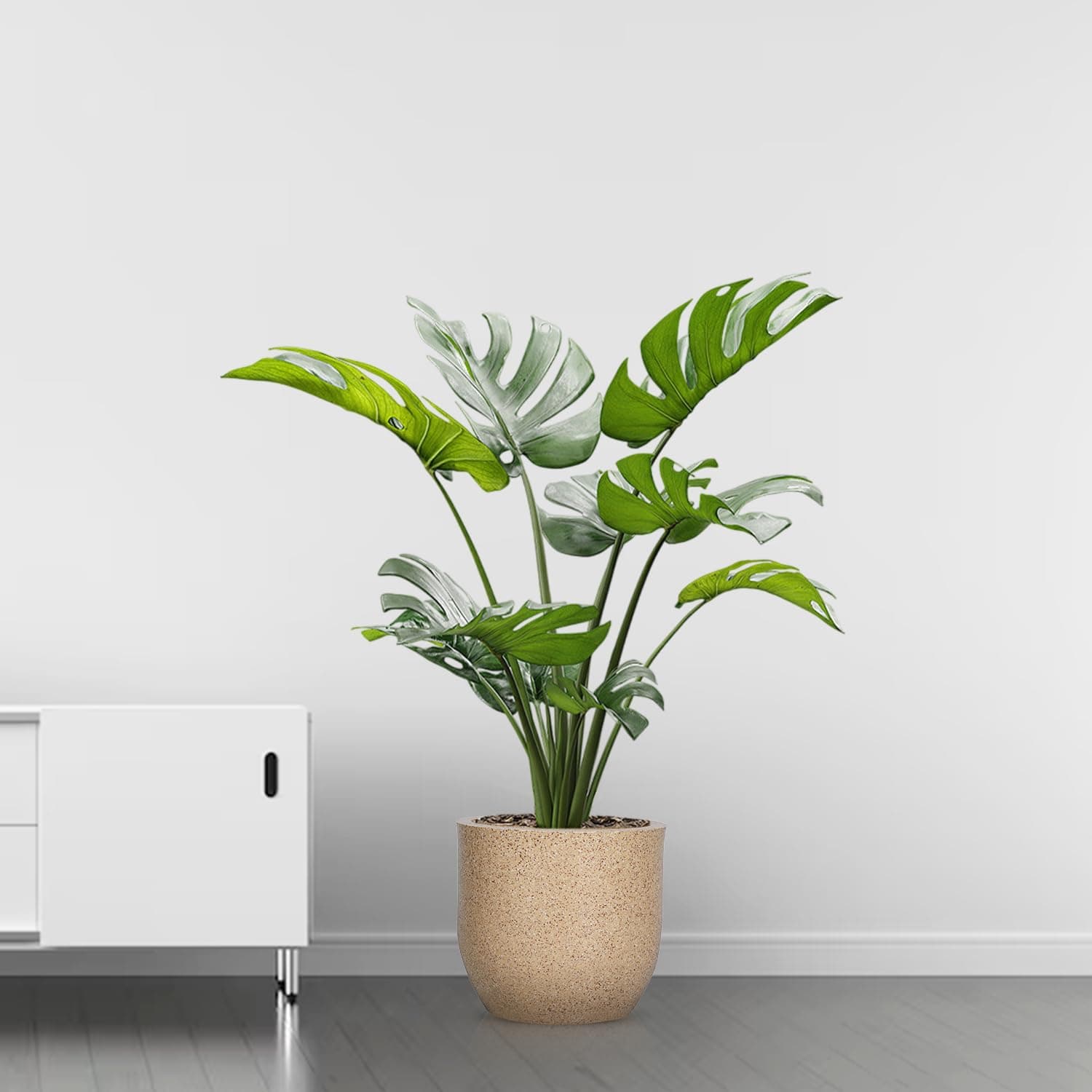 BonKaso 12 inch Beige Pot – Tall, Durable & Lightweight Polymer Jaguar Round Planter for Indoor & Outdoor Use, Marble Finish : Home, Office, Garden & Balcony (Gamla/Gamale)