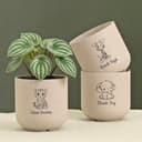 Eha Earth-Friendly Printed Small Terrapod Planters for Home Decor | 3.5 Inch, Pack of 3 | Plant Gifts Made with Rice Husk Biocomposite | Flower Pot for Living Room| Sand Castle 1