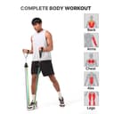 Cult Resistance Bands Set of 11 with Handles, Door Anchor, Ankle Straps & Carry Bag – Heavy Duty Toning Tubes for Full Body Workout, Strength Training, Home Gym & Fitness (Up to 45kg Resistance) 3
