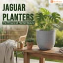 BonKaso 8 Inch Jaguar Round Plant Pots | Highly Durable & Lightweight Polymer Planter for Indoor & Outdoor Use | Flower Pot (Gamla/Gamale) for Home, Office, Garden, Living Room & Balcony (Light Grey) 2