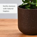Eha Earth-Friendly Terrapod Planters for Home Decor | 3.5 Inch, Pack of 4 | Small Plant Pot Made with Rice Husk Biocomposite | Flower Pot for Living Room | Coffee 5