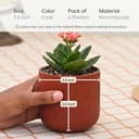 Eha Earth-Friendly Terrapod Planters for Home Decor | 3.5 Inch, Pack of 4 | Small Plant Pot Made with Rice Husk Biocomposite | Flower Pot for Living Room | Coral 2