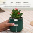 Eha Earth-Friendly Terrapod Planters for Home Decor | 3.5 Inch, Pack of 4 | Small Plant Pot Made with Rice Husk Biocomposite | Flower Pot for Living Room | Fern 2