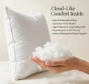 BSB HOME Decorative Throw Pillows for Sofa & Bed, Soft & Fluffy Plush Microfibre Filled Pillows for Couch, Bedroom & Living Room – White, Pack of 2, 16 x 24 Inches (40 x 60 cm) 3