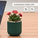 Eha Earth-Friendly Terrapod Planters for Home Decor | 3.5 Inch, Pack of 4 | Small Plant Pot Made with Rice Husk Biocomposite | Flower Pot for Living Room | Fern 4