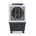 RR Signature Zello HC 70 LTR | Desert Air Cooler with High Air Delivery | Honeycomb Pads | 4-Way Air Deflection | Vertical Auto Swing | Castor Wheels | Inverter Compatibility |1 Year Warranty by RR 1