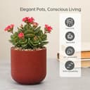 Eha Earth-Friendly Terrapod Planters for Home Decor | 3.5 Inch, Pack of 4 | Small Plant Pot Made with Rice Husk Biocomposite | Flower Pot for Living Room | Coral 3