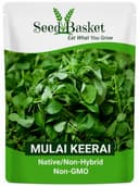 Seedbasket Arai Keerai Seeds + Mulai Keerai Seeds Combo Pack | 3000+ seeds | Native/Non-Hybrid | Non-GMO Leafy Vegetable Seeds for Home Gardening | Easy to Grow | Pack of 2 3