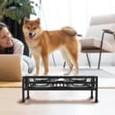 Amazon Basics Pet Feeder | Stainless Steel Food & Water Bowls with Stand | Dog Bowls | Elevated Double Diner with Stand | Large Size (1600 ml x 2 Bowl) (Black) 5