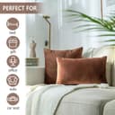 AAZEEM Decorative 18 x 18 Inch Throw Pillow Covers Set of 2 | Super Soft Velvet Pillows|Fall Pillowcase for Living Room Bedroom Sofa Couch Cushion Cover | Velvet 3
