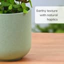 Eha Earth-Friendly Terrapod Planters for Home Decor | 3.5 Inch, Pack of 4 | Small Plant Pot Made with Rice Husk Biocomposite | Flower Pot for Living Room | Celeste 5
