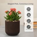 Eha Earth-Friendly Terrapod Planters for Home Decor | 3.5 Inch, Pack of 4 | Small Plant Pot Made with Rice Husk Biocomposite | Flower Pot for Living Room | Coffee 3