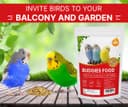 Boltz Bird Food for Budgies - 500gm | Natural & Healthy Premium Mix Seeds, | Daily Bird Budgies Food Seeds| All Life Stages - Mix Seed (500 GM) 4