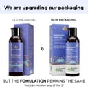 Avimee Herbal Rosemary Oil for Hair| For Hair Growth, Hair Fall Control and Dandruff | 100% Pure & Natural | Mineral Oil Free | 100mL 2
