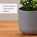 Eha Earth-Friendly Terrapod Planters for Home Decor | 3.5 Inch, Pack of 4 | Small Plant Pot Made with Rice Husk Biocomposite | Flower Pot for Living Room | Azure 5