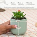 Eha Earth-Friendly Terrapod Planters for Home Decor | 3.5 Inch, Pack of 4 | Small Plant Pot Made with Rice Husk Biocomposite | Flower Pot for Living Room | Celeste 2