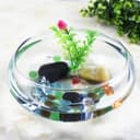 Mahganya Decorative Glass Urli Bowl (Pack of 1,8 Inch) Decorative Bowl for Floating Flowers and Tea Light Candles Home,Traditional Urli Bowl, Diwali Urli, Gift for Diwali, Terrarium,Planter(Clear) 2