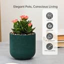 Eha Earth-Friendly Terrapod Planters for Home Decor | 3.5 Inch, Pack of 4 | Small Plant Pot Made with Rice Husk Biocomposite | Flower Pot for Living Room | Fern 3