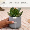 Eha Earth-Friendly Terrapod Planters for Home Decor | 3.5 Inch, Pack of 4 | Small Plant Pot Made with Rice Husk Biocomposite | Flower Pot for Living Room | Azure 2
