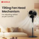 Havells Gatik Pro 400mm BLDC Pedestal Fan| 120 Ribs Guard for Safety| Smooth Oscillation| Heavy Base| ISI Marked | 2 Year Warranty | Black 5