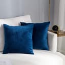 AAZEEM Decorative 18 x 18 Inch Throw Pillow Covers Set of 2 | Super Soft Velvet Pillows|Fall Pillowcase for Living Room Bedroom Sofa Couch Cushion Cover | Velvet 5