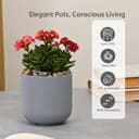 Eha Earth-Friendly Terrapod Planters for Home Decor | 3.5 Inch, Pack of 4 | Small Plant Pot Made with Rice Husk Biocomposite | Flower Pot for Living Room | Azure 3