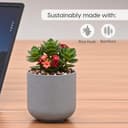 Eha Earth-Friendly Terrapod Planters for Home Decor | 3.5 Inch, Pack of 4 | Small Plant Pot Made with Rice Husk Biocomposite | Flower Pot for Living Room | Azure 4