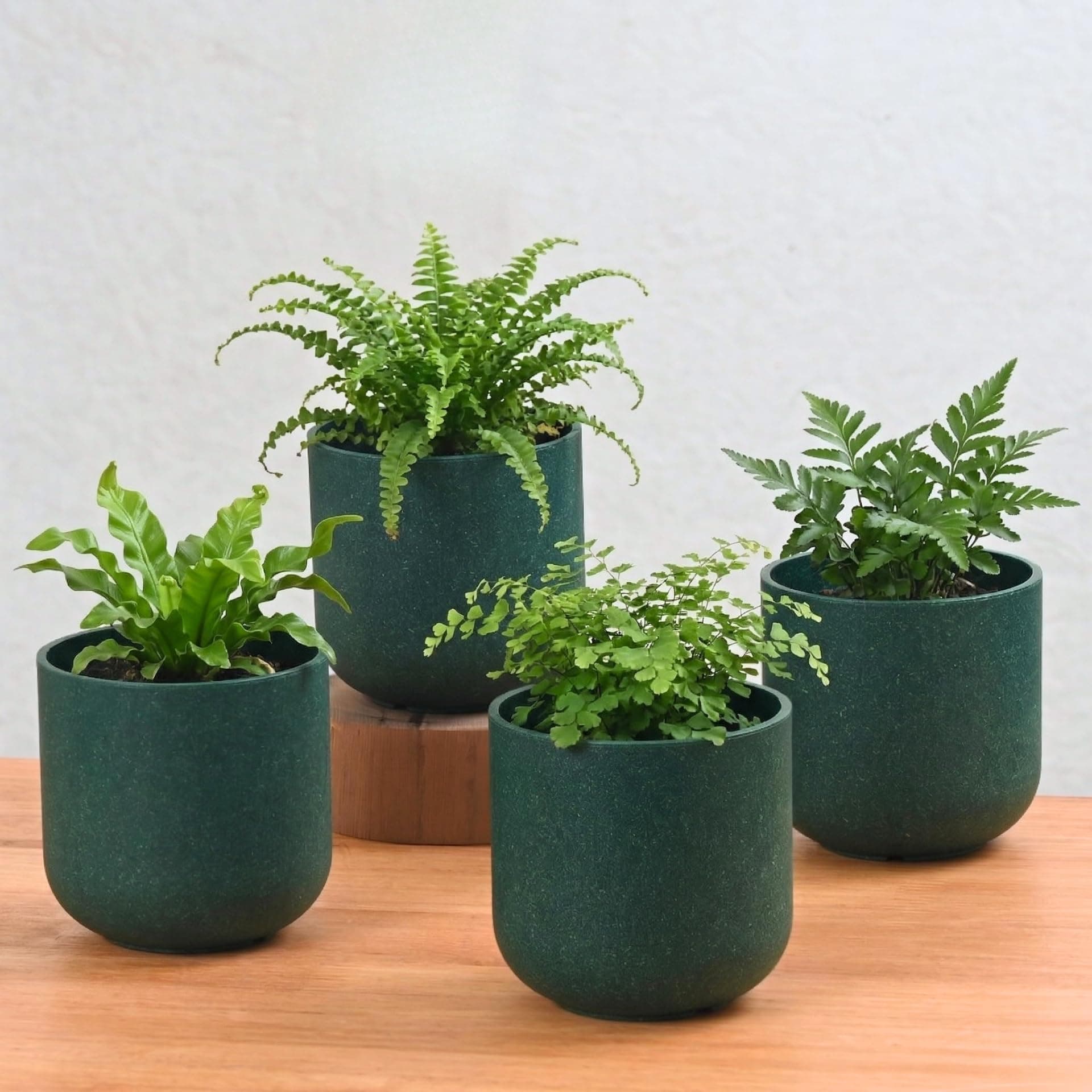 Eha Earth-Friendly Terrapod Planters for Home Decor | 3.5 Inch, Pack of 4 | Small Plant Pot Made with Rice Husk Biocomposite | Flower Pot for Living Room | Fern