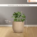 BonKaso 12 inch Beige Pot – Tall, Durable & Lightweight Polymer Jaguar Round Planter for Indoor & Outdoor Use, Marble Finish : Home, Office, Garden & Balcony (Gamla/Gamale) 3