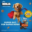 Godrej Ninja Adult Dry Dog Food, 2 KG, Chicken & Multigrain, Gut Health 2