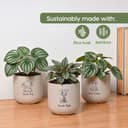 Eha Earth-Friendly Printed Small Terrapod Planters for Home Decor | 3.5 Inch, Pack of 3 | Plant Gifts Made with Rice Husk Biocomposite | Flower Pot for Living Room| Sand Castle 4