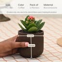Eha Earth-Friendly Terrapod Planters for Home Decor | 3.5 Inch, Pack of 4 | Small Plant Pot Made with Rice Husk Biocomposite | Flower Pot for Living Room | Coffee 2