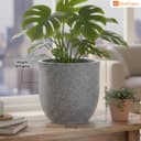 BonKaso 8 Inch Jaguar Round Plant Pots | Highly Durable & Lightweight Polymer Planter for Indoor & Outdoor Use | Flower Pot (Gamla/Gamale) for Home, Office, Garden, Living Room & Balcony (Light Grey) 3