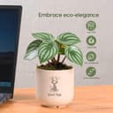Eha Earth-Friendly Printed Small Terrapod Planters for Home Decor | 3.5 Inch, Pack of 3 | Plant Gifts Made with Rice Husk Biocomposite | Flower Pot for Living Room| Sand Castle 3