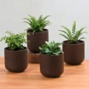 Eha Earth-Friendly Terrapod Planters for Home Decor | 3.5 Inch, Pack of 4 | Small Plant Pot Made with Rice Husk Biocomposite | Flower Pot for Living Room | Coffee 1