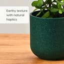 Eha Earth-Friendly Terrapod Planters for Home Decor | 3.5 Inch, Pack of 4 | Small Plant Pot Made with Rice Husk Biocomposite | Flower Pot for Living Room | Fern 5