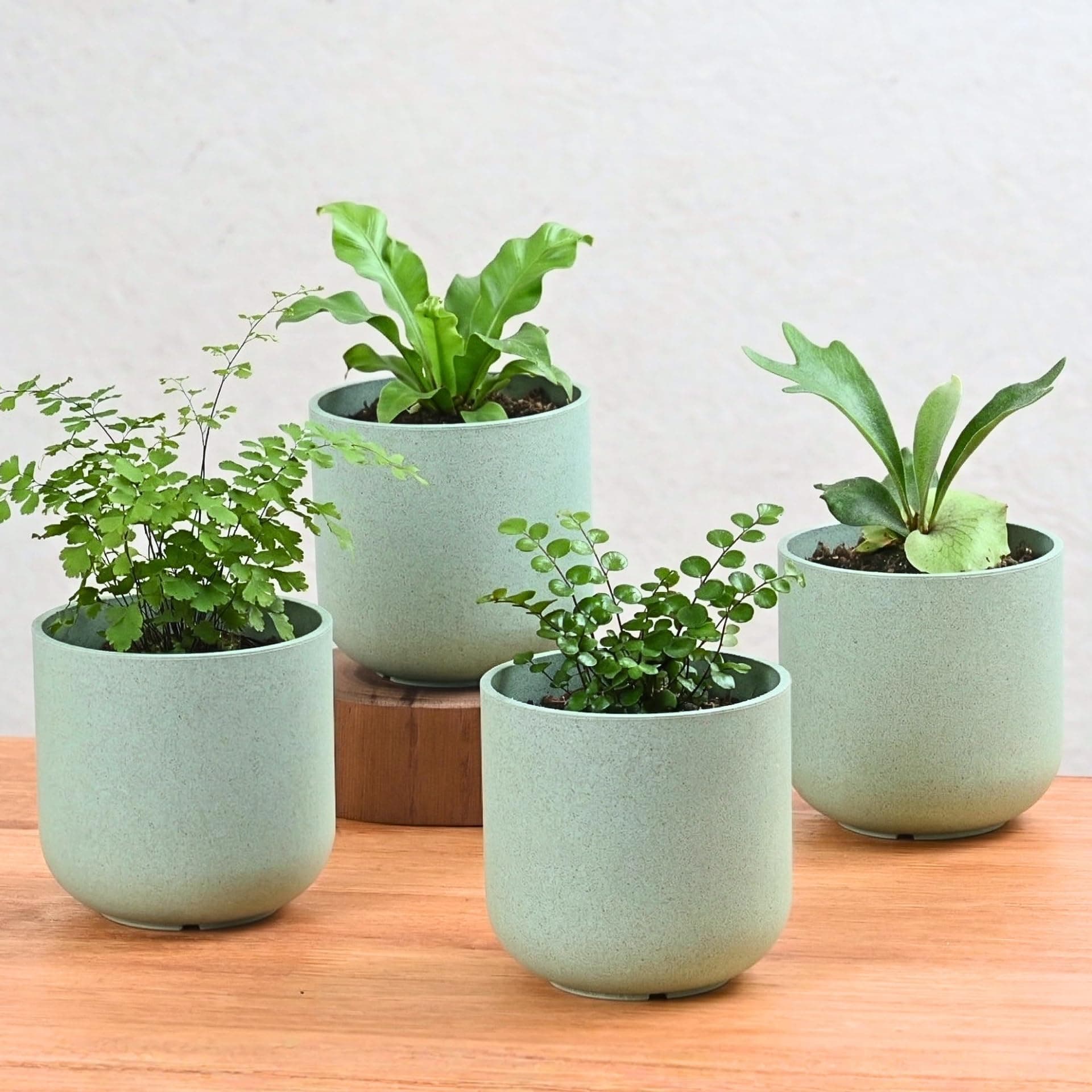 Eha Earth-Friendly Terrapod Planters for Home Decor | 3.5 Inch, Pack of 4 | Small Plant Pot Made with Rice Husk Biocomposite | Flower Pot for Living Room | Celeste