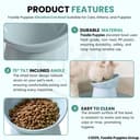 Foodie Puppies Elevated Cat Bowl Feeder Food Water Feeder Bowl for Cats, Kittens & Puppies - (Set of 2) | Persian Cat Food Bowl Tilted Raised Bowl Anti Vomiting 15° Slanted Bowl (Color May Vary) 3