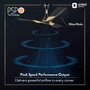 Orient Electric’s 1200 mm Wendy| Decorative ceiling fan with dual-toned blades| Anti-rust blades| High-speed fan with PSPO technology|100% Copper motor | 2-year warranty | Metallic Black-Gold 3