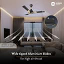 Orient Electric’s 1200 mm Wendy| Decorative ceiling fan with dual-toned blades| Anti-rust blades| High-speed fan with PSPO technology|100% Copper motor | 2-year warranty | Metallic Black-Gold 4