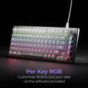 Kreo Hive RGB 75% Wired Mechanical Gaming Keyboard, Hot Swappable, Anti-ghosting Wired USB Tenkeyless Gaming Keyboard Compatible with Desktop, Laptop, Mac (White, Brown Switche) 3