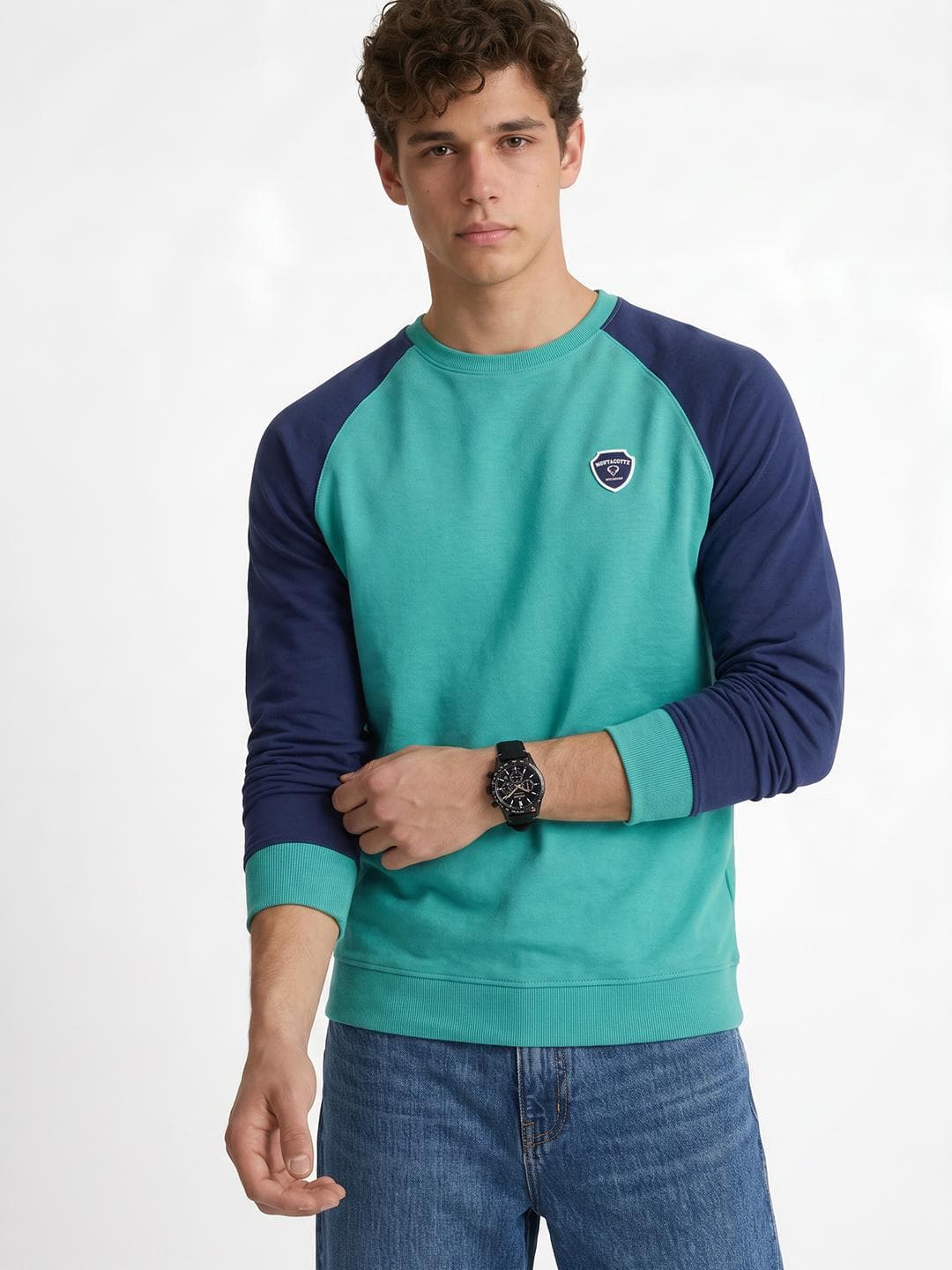 Peter England Colourblocked Pullover Sweatshirt